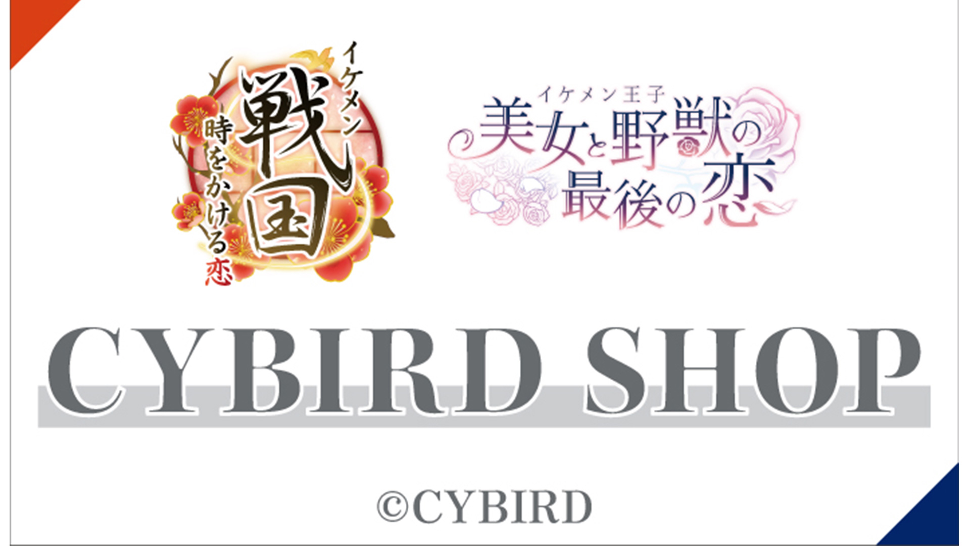 CYBIRD SHOP